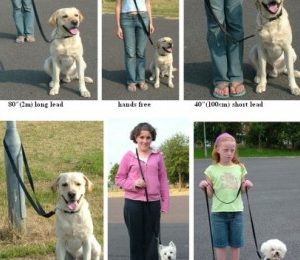 Juster Training Lead